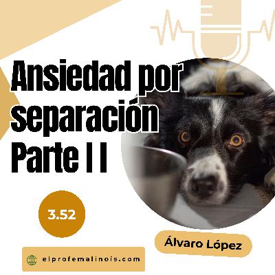 3.52 Ansiedad por Separación en Perros (Parte 2): Cómo Trabajarla y Qué Evitar a Toda Costa