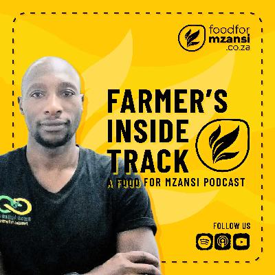 How to grow your poultry business with abattoirs How to grow your poultry business with abattoirs