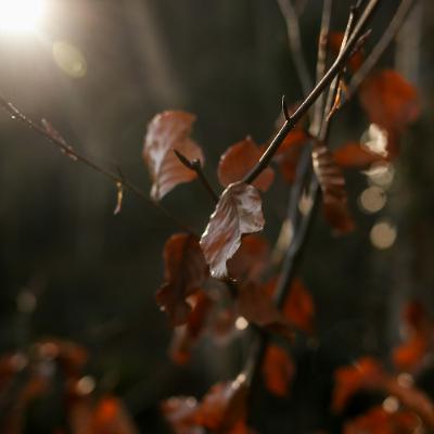 رَبِّ إِنِّي يَاذَا الصِّفَاتِ الْعَلِيَّهْ | Rabbi Inni