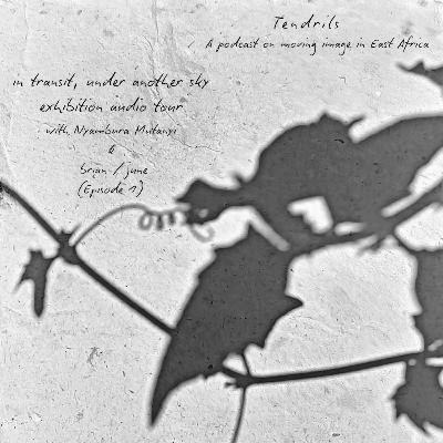 in transit, under another sky exhibition audio tour with Nyambura Mutanyi and brian / june - (Episode 1) in transit, under another sky exhibition audio tour with Nyambura Mutanyi and brian / june - (Episode 1)