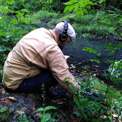 Deep Listening in the Wild Part 2