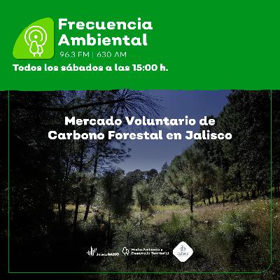 Episodio 204. Mercado Voluntario de Carbono Forestal en Jalisco