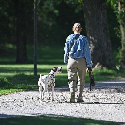 Studie zur Mobilität - Mehr Menschen gehen zu Fuß