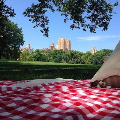 Episode 143: On A Blanket In The Park #1