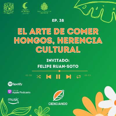 Ep. 38: El arte de comer hongos, herencia cultural con el Dr. Felipe Ruan-Soto
