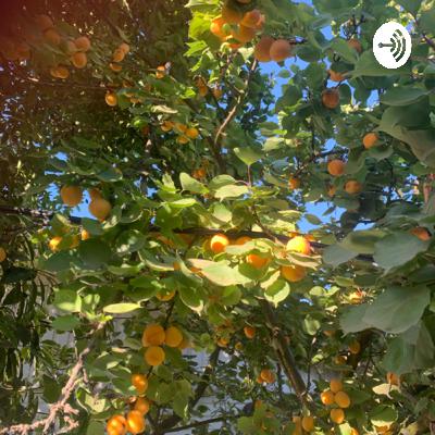 Yo Soy tu Defensor Yo Soy tu Defensor