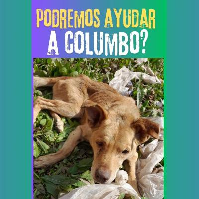 Podremos ayudar a Columno?
