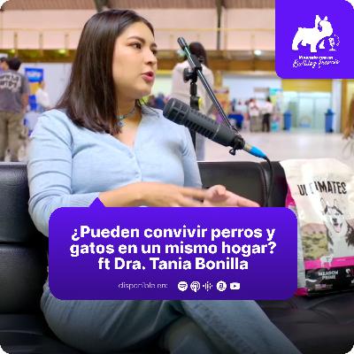 ¿Pueden convivir perros y gatos en un mismo hogar? ft Tania Bonilla, MV