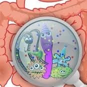 Microbiota
