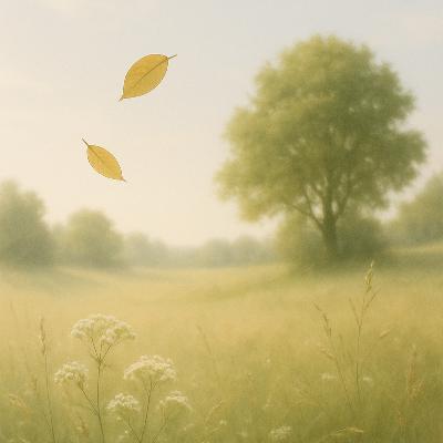 Ochtendlicht: Week 30 - Loslaten van verwachtingen