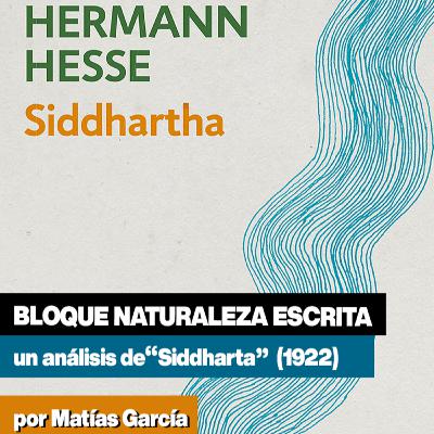 Bloque "Naturaleza Escrita" PRESENTA: "Siddharta" de Hermann Hesse │por Matías García