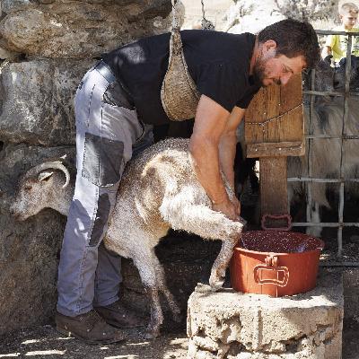 Dans la peau d’un berger crétois – Grèce Dans la peau d’un berger crétois – Grèce
