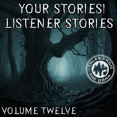 YOUR STORIES! Listener Stories 12