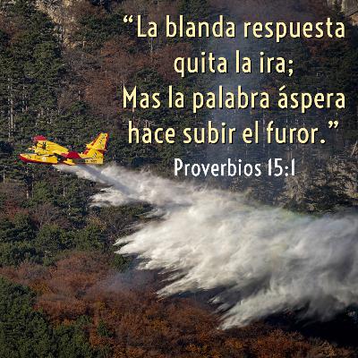 51 - Joyas de Sabiduría - Con quietud apaga un "incendio" [Proverbios 15:1-4]