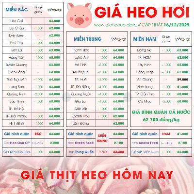 GIÁ LỢN HƠI 16/12/2025 ✅ GIÁ THỊT HEO HÔM NAY & TIN TỨC CHĂN NUÔI #GIAHEOHOI #ASF #DICHTAHEOCHAUPHI