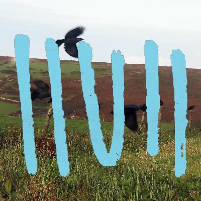 FINK S2, E6: Cornwall & other stories