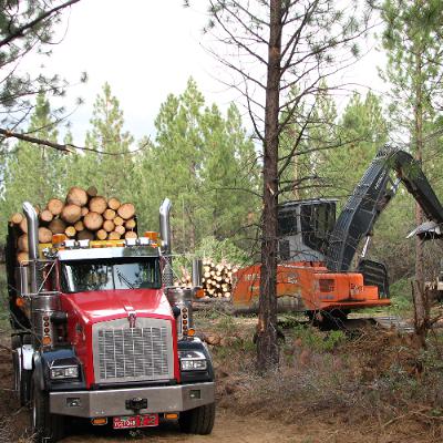 The past, present and future of Oregon's timber industry