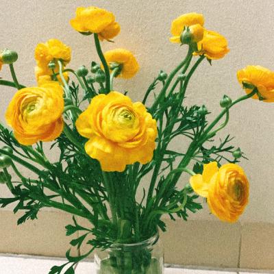 32. Một câu nói của bố mẹ khiến mình nhớ mãi