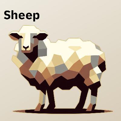 Sheep Fatigue During Transport with Katia Colitti