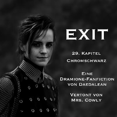 Kapitel 29 - Chromschwarz