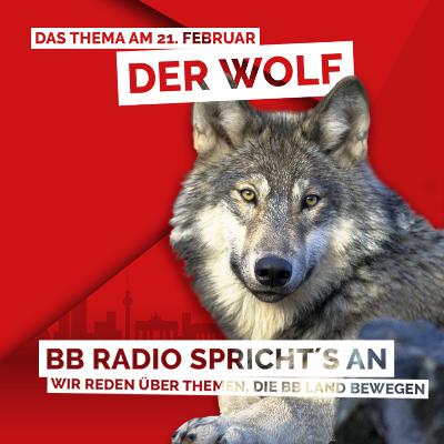 BB RADIO Sprichts an 001 - Der Wolf BB RADIO Sprichts an 001 - Der Wolf