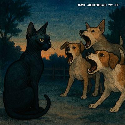 ASMR - Ночной лай собак
