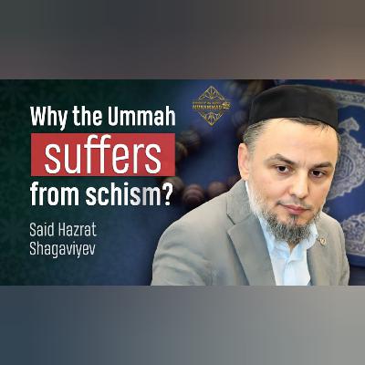 Why does the Ummah suffer from division? Said Hazrat Shagaviyev