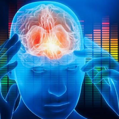 Creator Or Creation Creator Or Creation