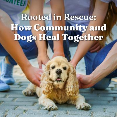 Rooted in Rescue: How Community and Dogs Heal Together