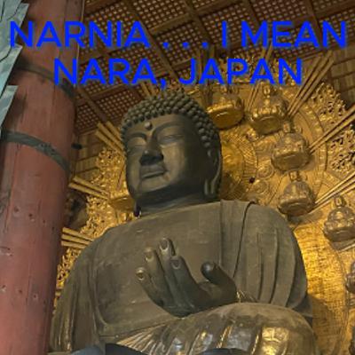 Exploring Narnia . . . I mean Nara, Japan