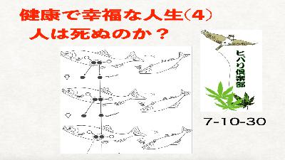 健康で幸福な人生（4）「人は死ぬのか？」