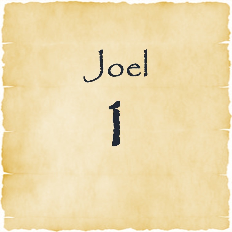 Joel 1 episode artwork