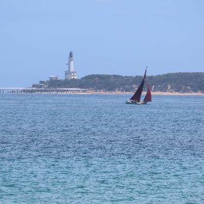 Stanley Ulijaszek and Swimming in Australia at Queenscliffe