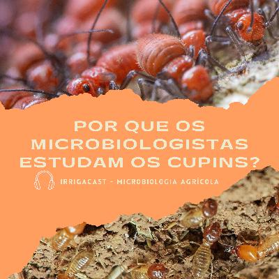 MicroCast 04 - Por que os microbiologistas estudam os cupins? MicroCast 04 - Por que os microbiologistas estudam os cupins?