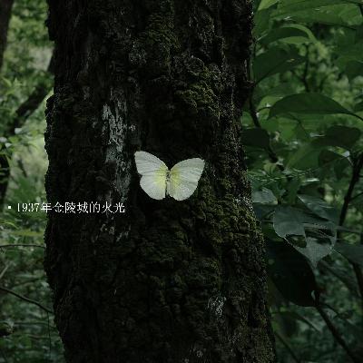 1937年金陵城的火花
