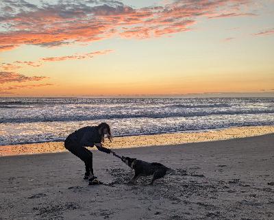 A "virtue signaling" deep dive, anyone? A "virtue signaling" deep dive, anyone?