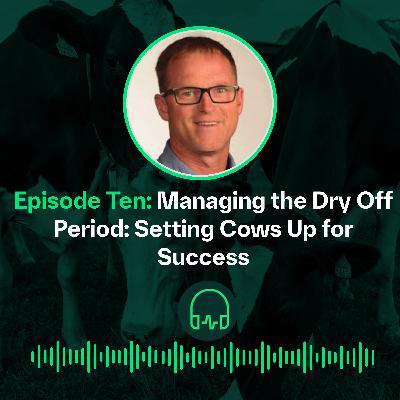 Managing the Dry Off Period || Prise en charge de la période de tarissement