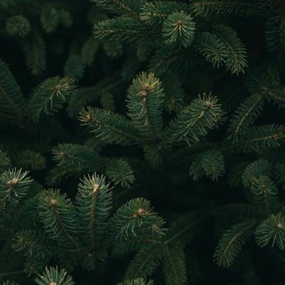 "Confronting our own worst impulses," by Laura Simmons "Confronting our own worst impulses," by Laura Simmons