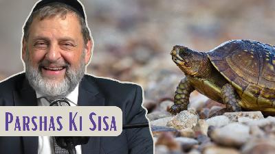Ki Sisa - Slow And Steady