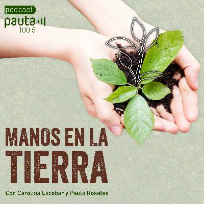 Cómo empezar un huerto y no morir en el intento