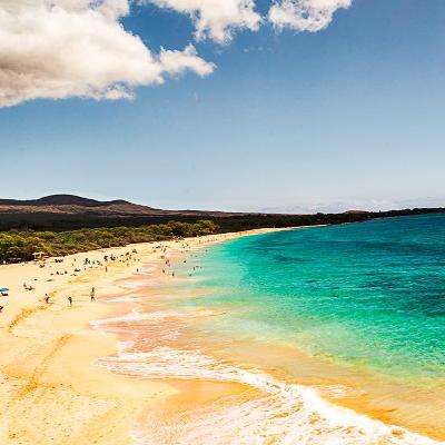 The Kevin McNally Show - AI & A Grain Of Sand