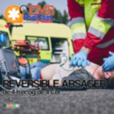 S6E2 - Reversible Årsager - 4 Her Og 4 Ter