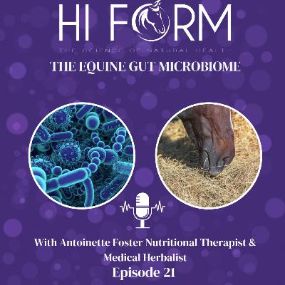 #21 The Equine Gut Microbiome