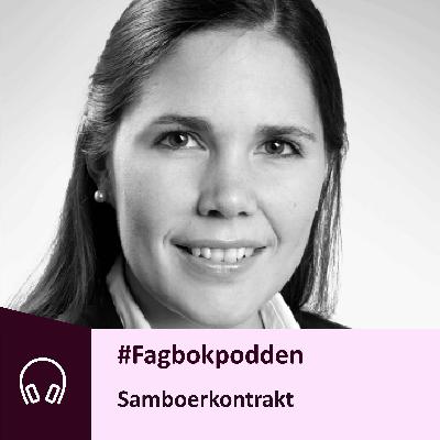 Samboerkontrakt