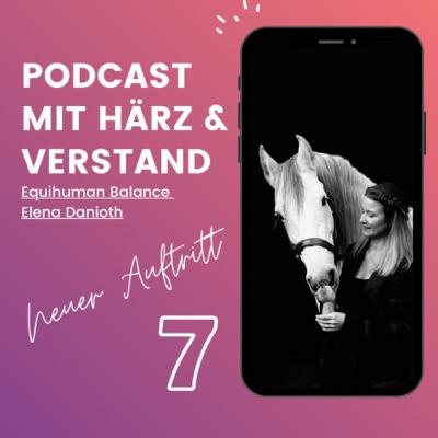Podcastfolge Nr.7 - Update meiner Firma