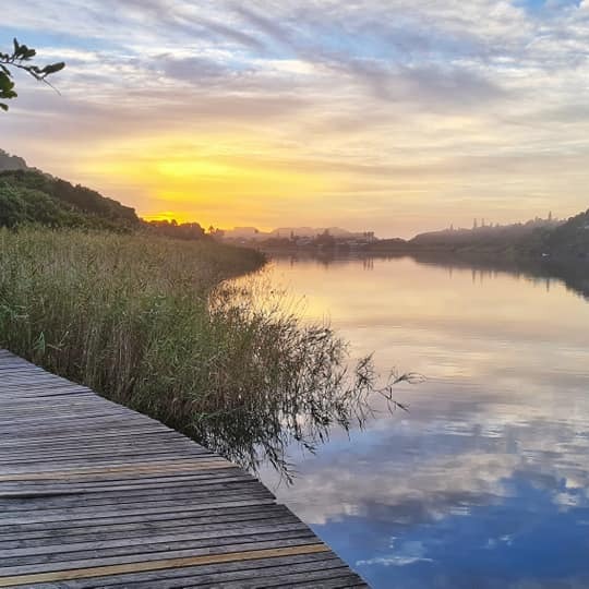 Travel Tuesday: 10 things not to miss while in the Garden Route episode artwork