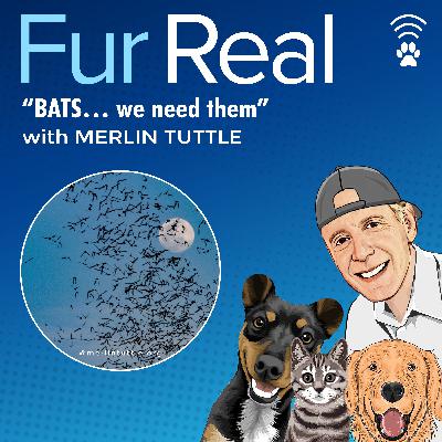 "BATS...we need them" with Merlin Tuttle