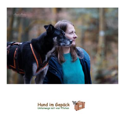 „Ein Hund ist nicht die Summe seiner Gene“ „Ein Hund ist nicht die Summe seiner Gene“