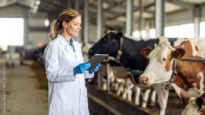 USDA Rural Veterinary Action Plan
