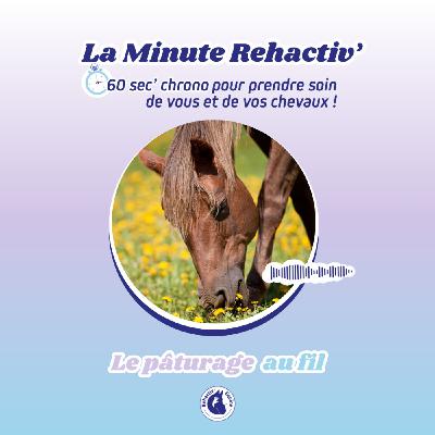 Le pâturage au fil